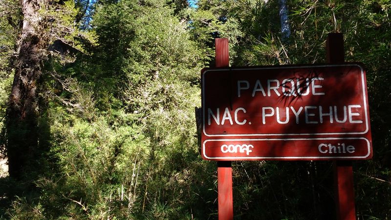 Archivo:Mitad parras.jpg