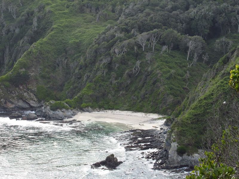 Archivo:Playa los burros (3).jpg