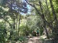Huemules de ñiblinto (12).jpg