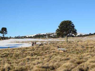 Cerro Cuchare (5).jpg
