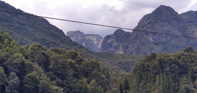 Archivo:Tricauco (108)-min.jpg