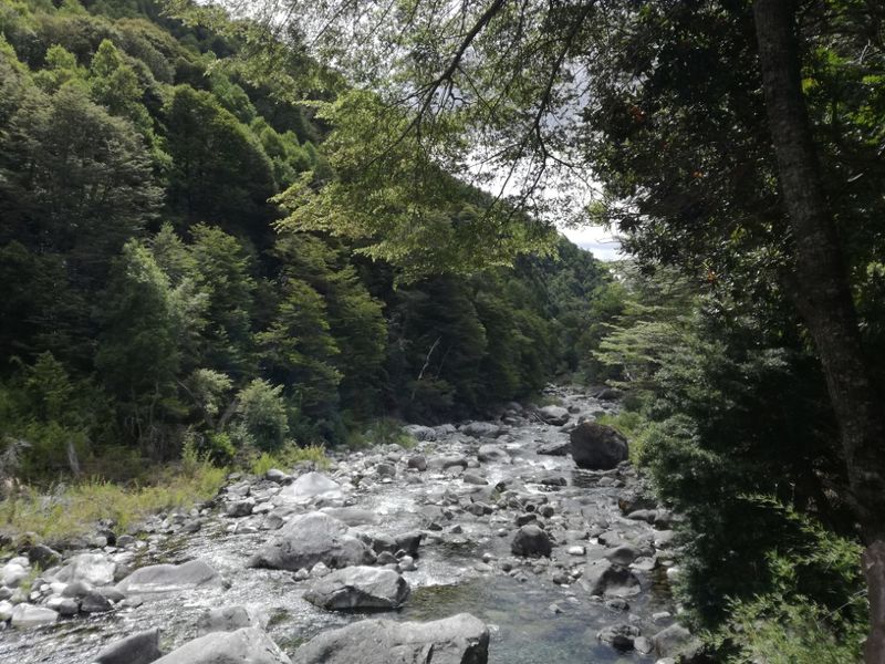 Archivo:Huemules de ñiblinto.jpg