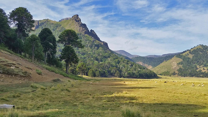 Archivo:Valle del Pulul paisaje.jpg