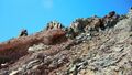 Cerro aguilas (6).jpg
