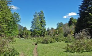 GPT 15 Lago Todos Los Santos 109447294.jpg