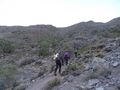 Miniatura de la versión del 08:25 21 sep 2021