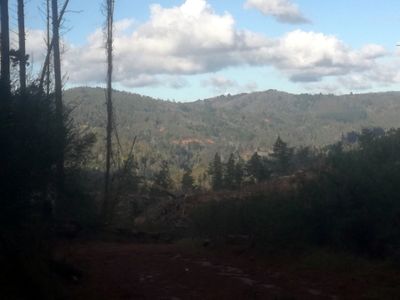 Cerros de nonguen (16).jpg