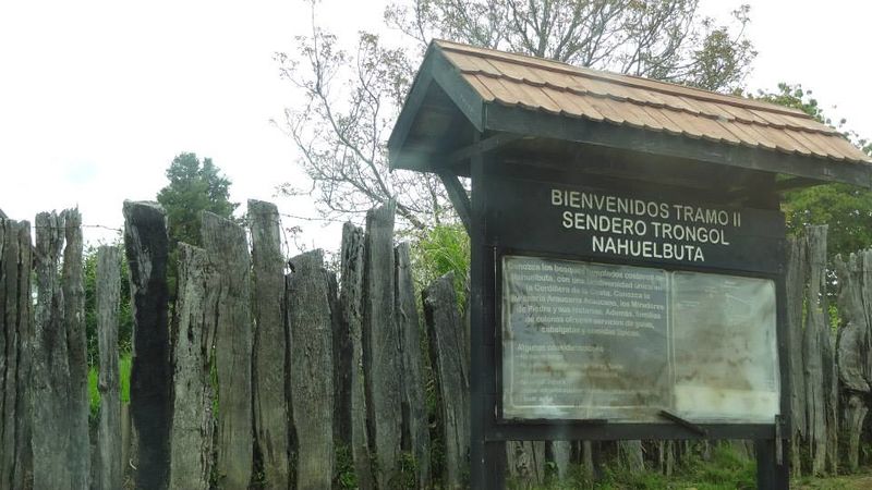 Archivo:Trongol (5).jpg