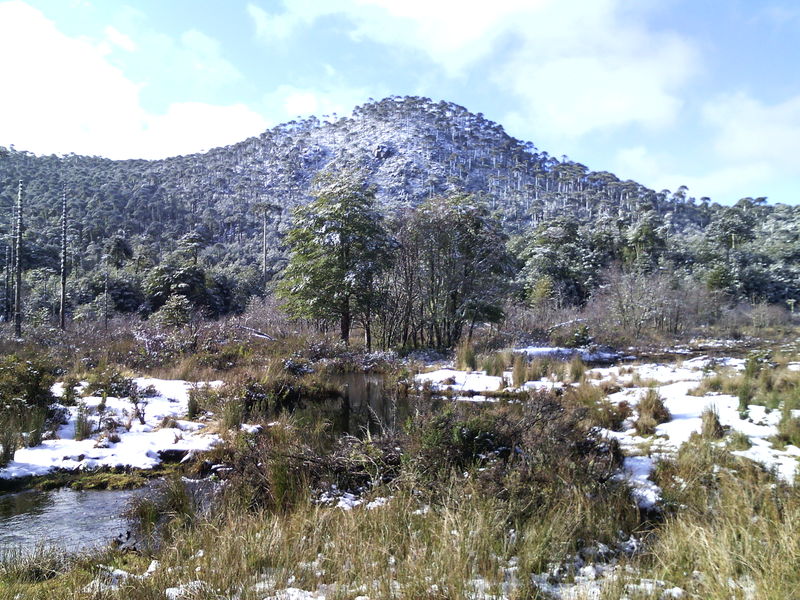 Archivo:Nahuel1.jpg