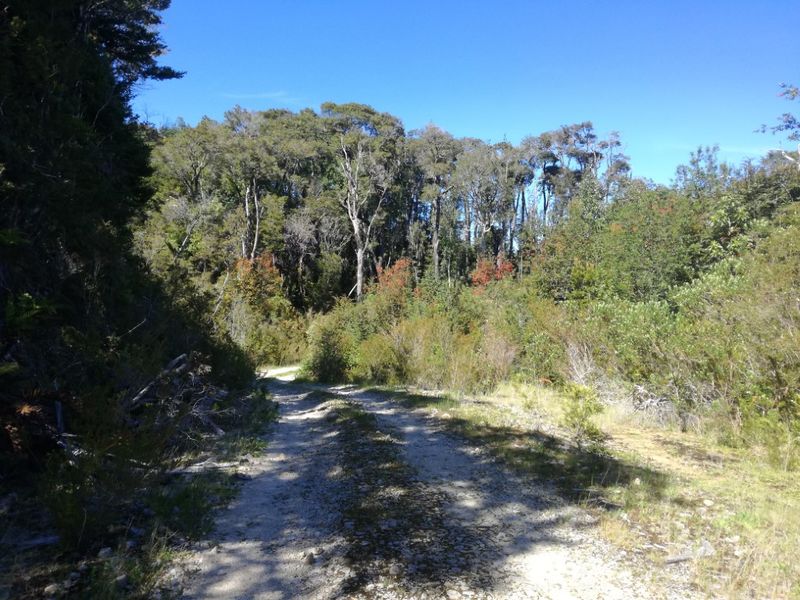Archivo:Reserva Costera Valdiviana (2).jpg
