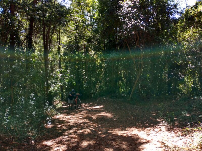 Archivo:Palomares.jpg