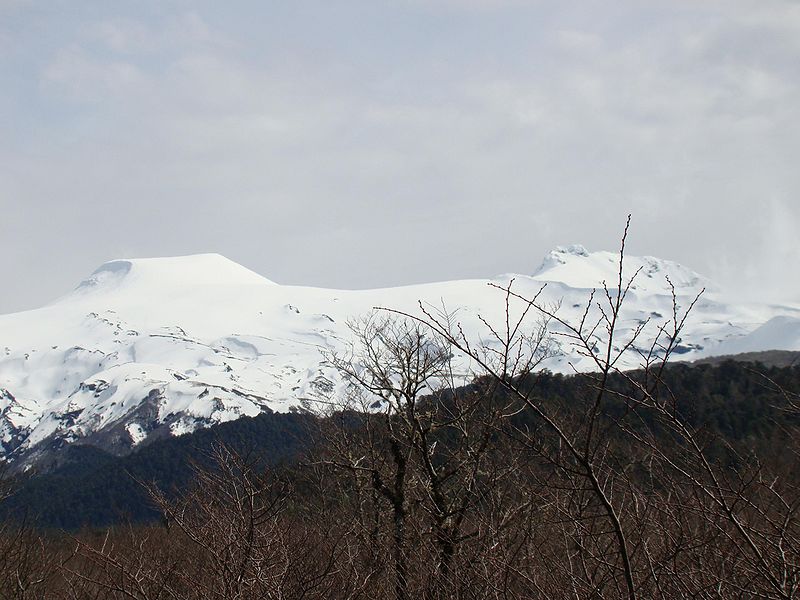 Archivo:DSC05858.JPG.jpg