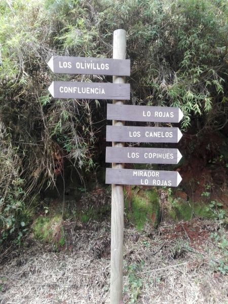 Archivo:Nonguen(7).jpg