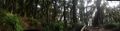 OlivilloPanoramica.jpeg