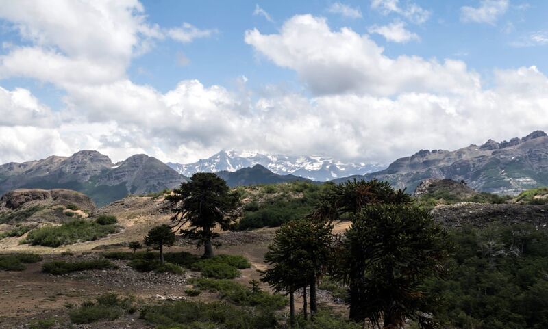 Archivo:Laguna liay (18).jpg