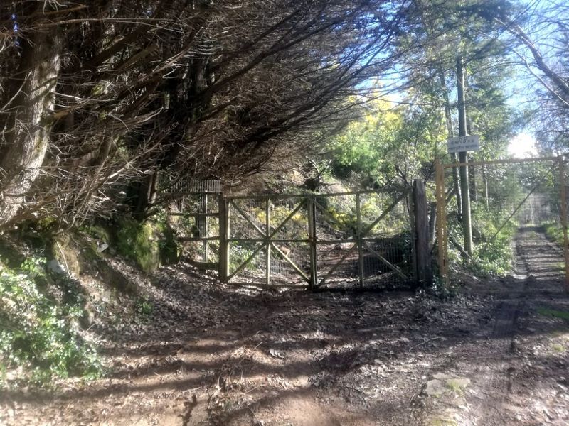 Archivo:Cerros de nonguen (9).jpg