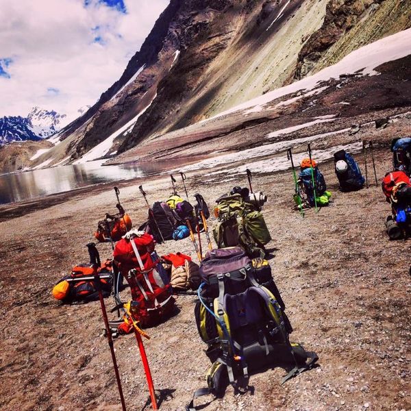 Archivo:Bosq.jpg