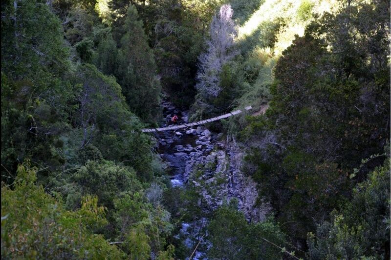 Archivo:Puente los tilos (13).jpg