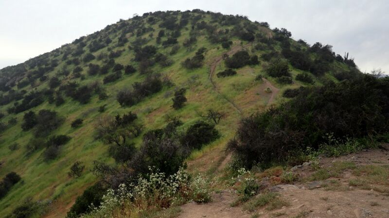 Archivo:Cerro La Region (10).JPG