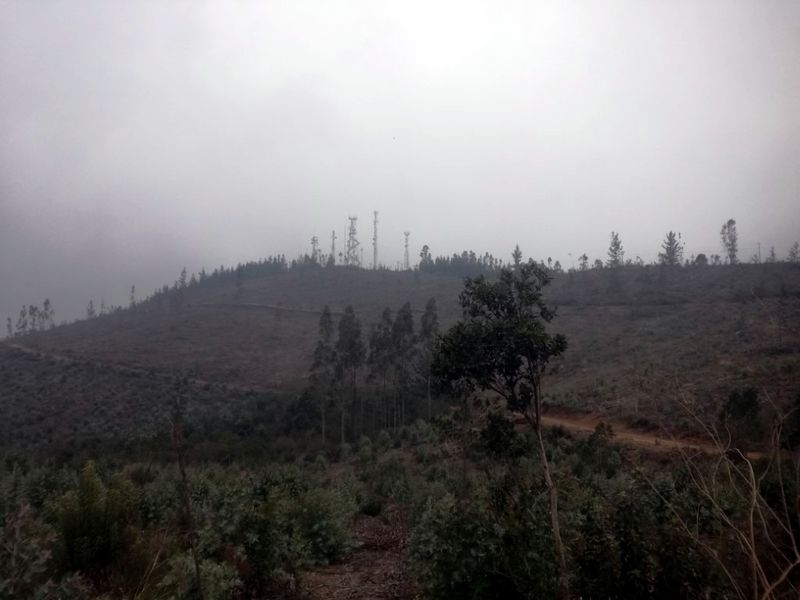 Archivo:Cerro neuque (13).jpg