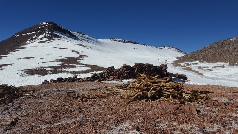 Archivo:Palp 19.jpg