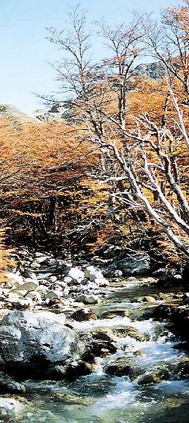 Archivo:Glaciar-OHiggins-d4b.jpg