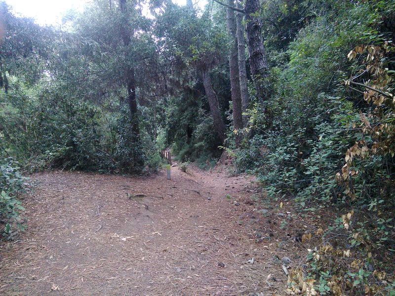 Archivo:Cerro caracol.jpg
