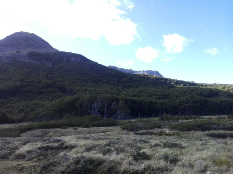 Archivo:Laguna el rosado (16).jpg