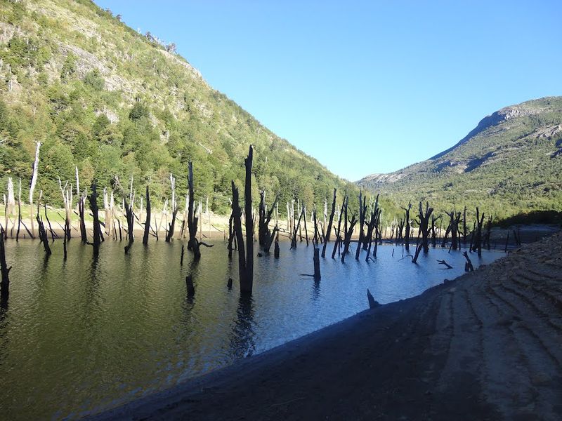 Archivo:Estero relbun (8).jpg