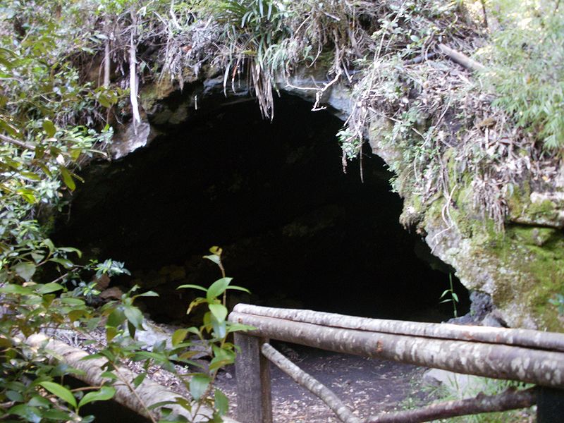 Archivo:P8280179.JPG.jpg