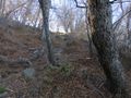 Altos de Chicauma (8).JPG