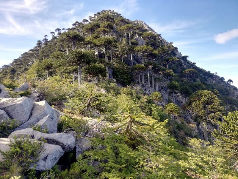 Archivo:Travesia tricauco (3).jpg