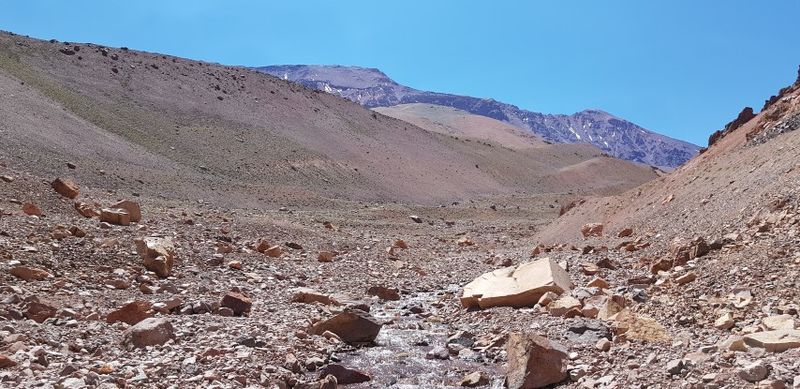 Archivo:Oli4.jpg