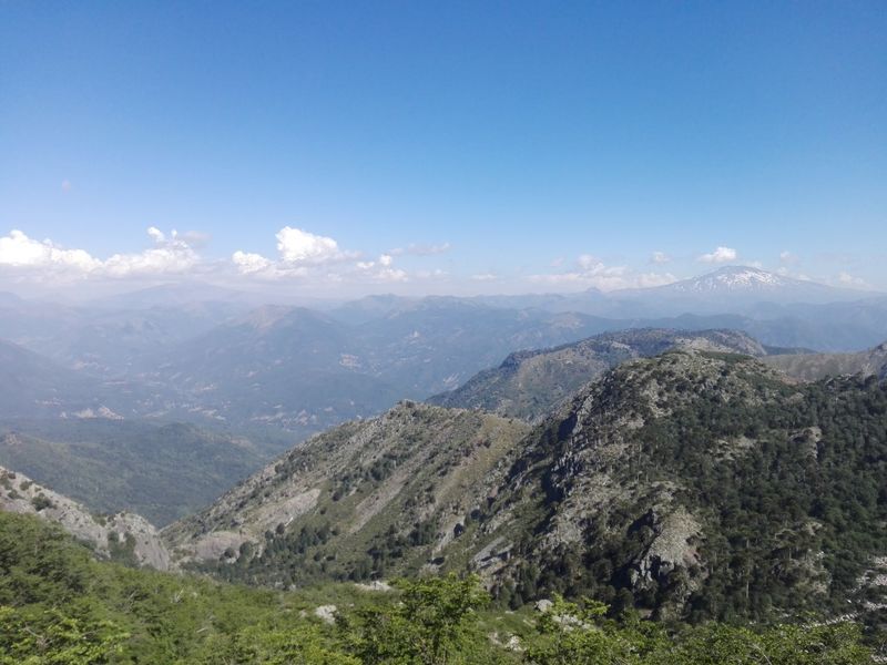 Archivo:Quillaileo (8).jpg