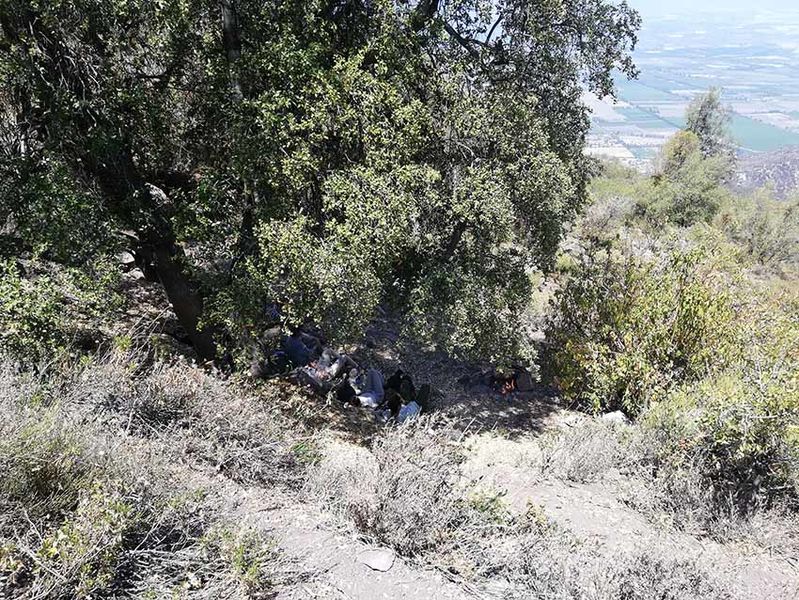 Archivo:Descansando bajo un quillay 2.jpg