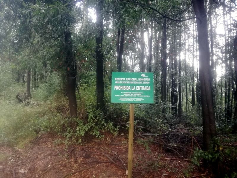Archivo:Circuito nonguen (9).jpg