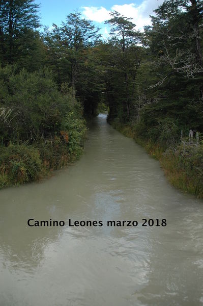 Archivo:Camino Leones 2018.jpg