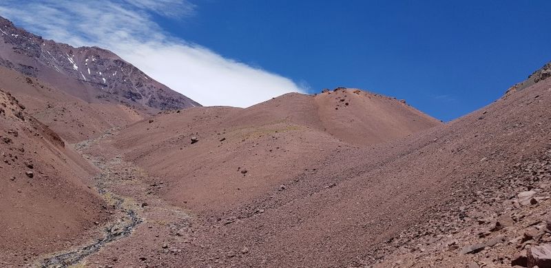 Archivo:Oli7.jpg