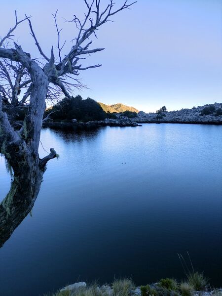 Archivo:Laguna el boqui (11).jpg