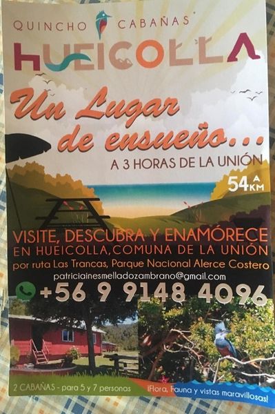 Archivo:Afiche hueicolla.jpg