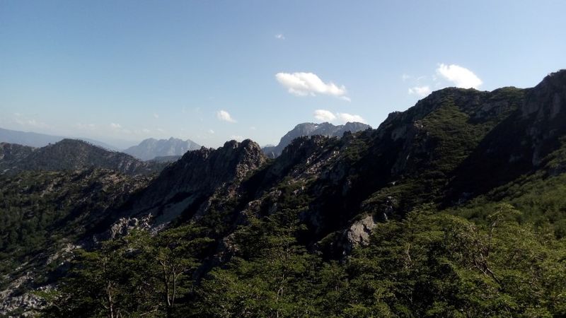 Archivo:Trompelhueno (15).jpg