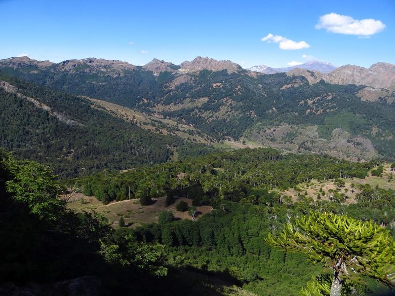 Archivo:Laguna la mula (13).jpg