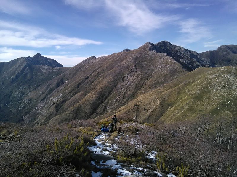 Archivo:Tricauco (12).jpg