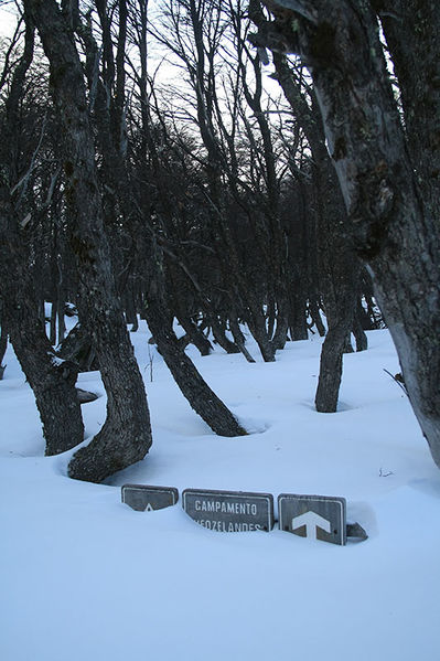 Archivo:Campamento Neozelandes Invierno.jpg