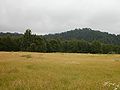 P8310004.JPG.jpg