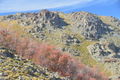 Alto de Cantillana .JPG