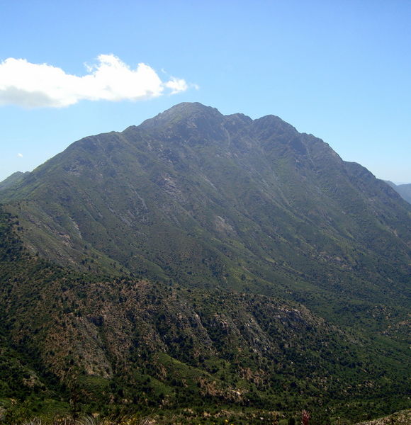 Archivo:Cerro La Campana .jpg