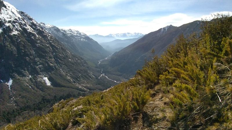 Archivo:Gertrudis invernal (5).jpg