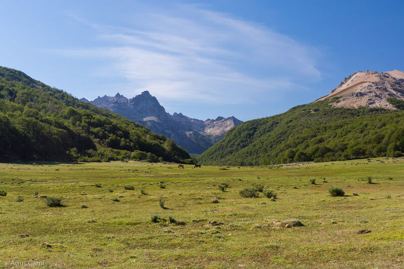 Archivo:Mallin Nieblas.jpg