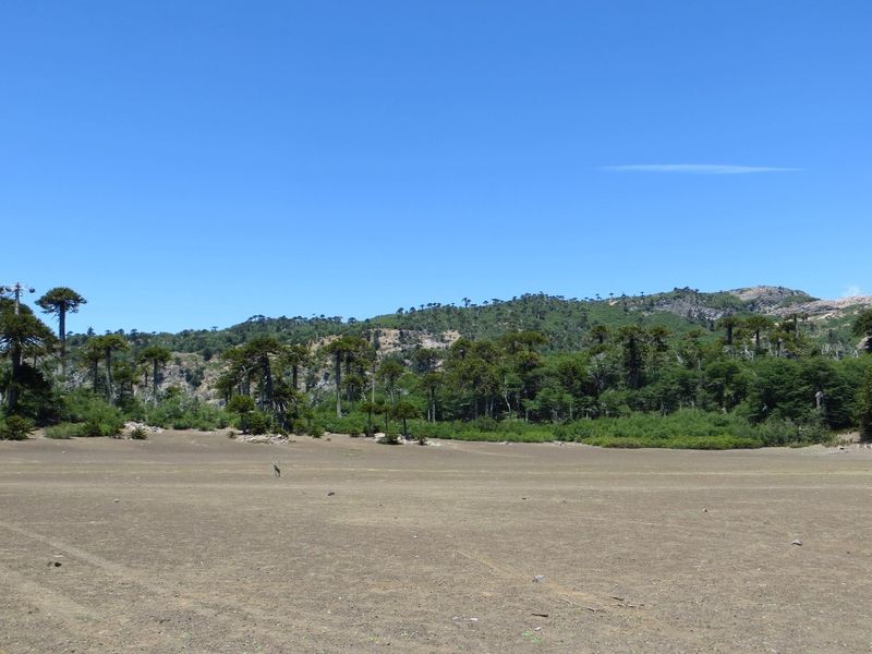Archivo:Laguna la mula (14).jpg